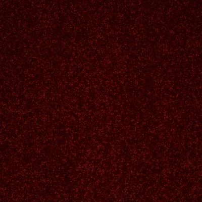 Shaw Floors Roll Special Xv436 Wine Tasting 00800_XV436