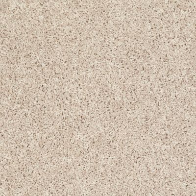 Shaw Floors Roll Special Xv442 Frosted Glass 00103_XV442