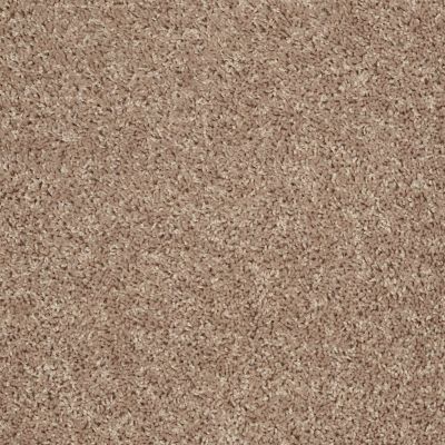 Shaw Floors Roll Special Xv442 Washed Suede 00104_XV442