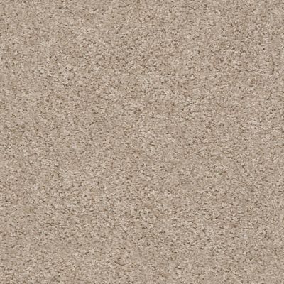 Shaw Floors Roll Special Xv462 Stratosphere 00103_XV462