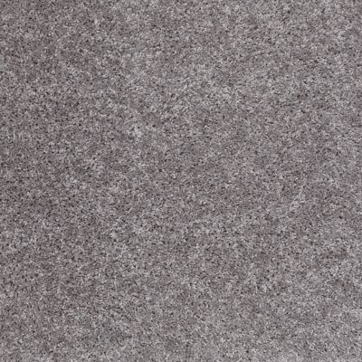 Shaw Floors Roll Special Xv463 Sterling 00500_XV463