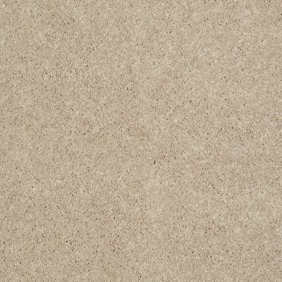 Shaw Floors Roll Special Xv540 Project Beige 00102_XV540
