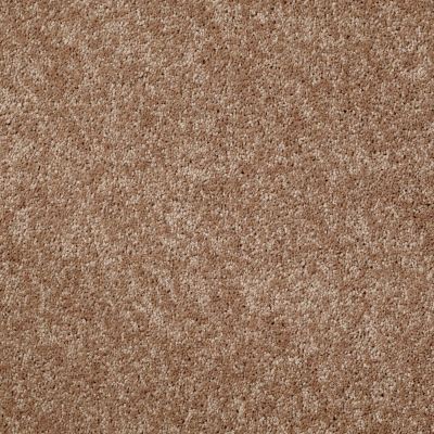 Shaw Floors Roll Special Xv540 Caramel Latte 00201_XV540