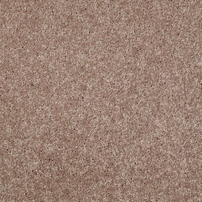 Shaw Floors Roll Special Xv540 Deer Tracks 00702_XV540