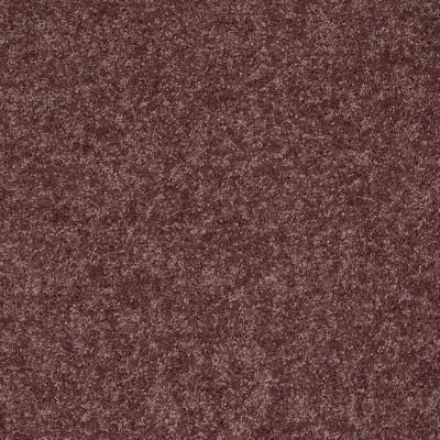 Shaw Floors Roll Special Xv540 Plum Berry 00920_XV540