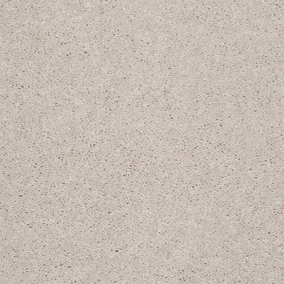 Shaw Floors Roll Special Xv578 Agate 00102_XV578