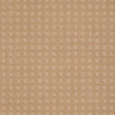 Shaw Floors Roll Special Xv621 Natural Grain 00103_XV621