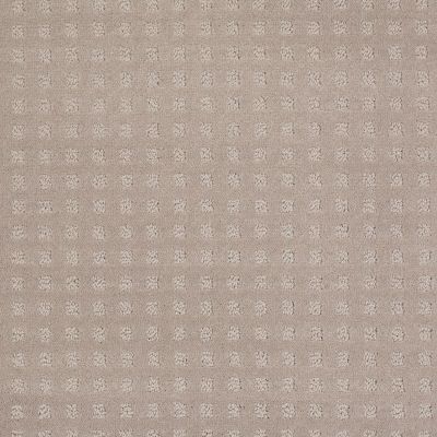 Shaw Floors Roll Special Xv621 Grey Dove 00500_XV621
