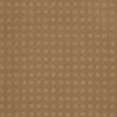 Shaw Floors Roll Special Xv621 Field Stone 00701_XV621