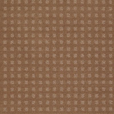 Shaw Floors Roll Special Xv621 Townhouse Taupe 00705_XV621