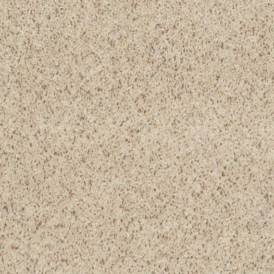 Shaw Floors Roll Special Xv631 Cottage 00160_XV631