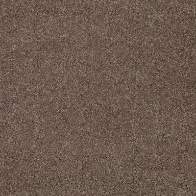 Shaw Floors Roll Special Xv694 Rustic Taupe 00706_XV694