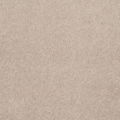 Shaw Floors Roll Special Xv813 French Canvas 00102_XV813