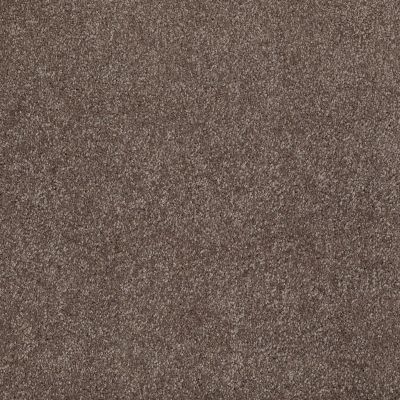 Shaw Floors Roll Special Xv813 Rustic Taupe 00706_XV813
