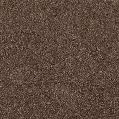 Shaw Floors Roll Special Xv813 Sedona 00708_XV813