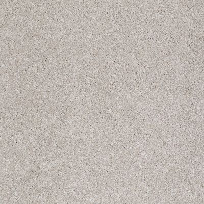 Shaw Floors Roll Special Xv814 Catnip 00114_XV814