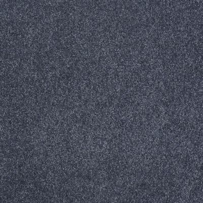 Shaw Floors Roll Special Xv815 St. Lucia Skies 00400_XV815