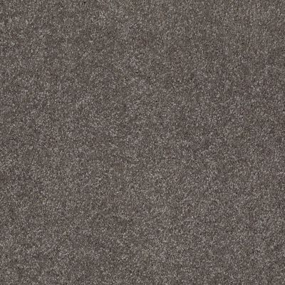 Shaw Floors Roll Special Xv815 Stone Hearth 00703_XV815