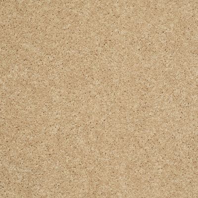 Shaw Floors Roll Special Xv863 Crumpet 00203_XV863