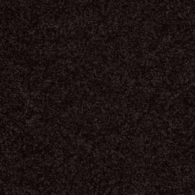 Shaw Floors Roll Special Xv863 Armour 00502_XV863