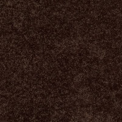 Shaw Floors Roll Special Xv863 Coffee Bean 00705_XV863
