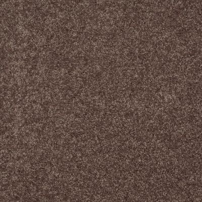 Shaw Floors Roll Special Xv863 Molasses 00710_XV863