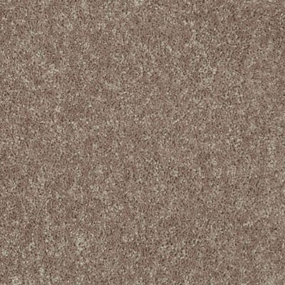 Shaw Floors Roll Special Xv863 River Slate 00720_XV863