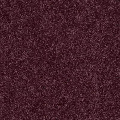 Shaw Floors Roll Special Xv863 Royal Purple 00902_XV863