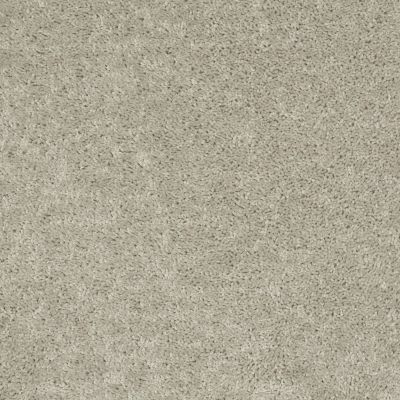 Shaw Floors Roll Special Xv864 Bare Mineral 00105_XV864