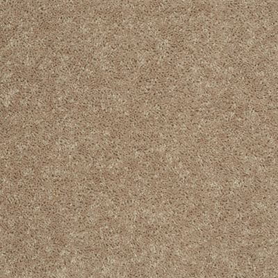 Shaw Floors Roll Special Xv864 Tassel 00107_XV864
