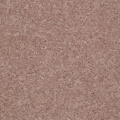 Shaw Floors Roll Special Xv867 Honeycomb 00201_XV867