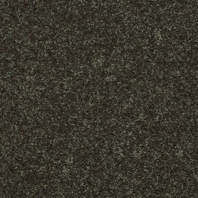 Shaw Floors Roll Special Xv867 Garden Grove 00301_XV867