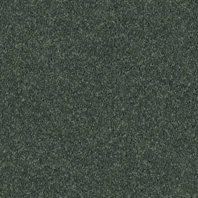 Shaw Floors Roll Special Xv867 Going Green 00340_XV867