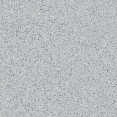 Shaw Floors Roll Special Xv867 Dove 00540_XV867