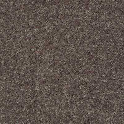 Shaw Floors Roll Special Xv867 Driftwood 00703_XV867