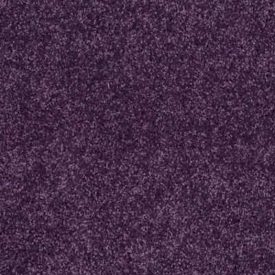 Shaw Floors Roll Special Xv867 Grape Slushy 00931_XV867