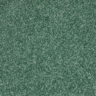 Shaw Floors Roll Special Xv882 Leap Frog 00331_XV882