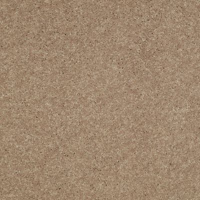 Shaw Floors Roll Special Xv885 Honeycomb 00200_XV885