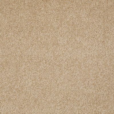 Shaw Floors Roll Special Xv930 Butternut 00210_XV930