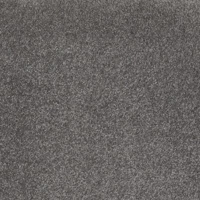 Shaw Floors Roll Special Xv930 Sophisticated Gray 00513_XV930