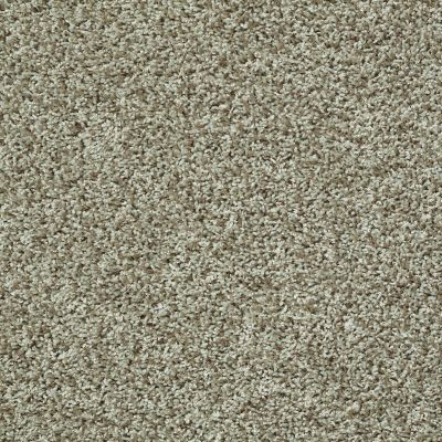 Shaw Floors Roll Special Xv994 Citrus Splash 00300_XV994