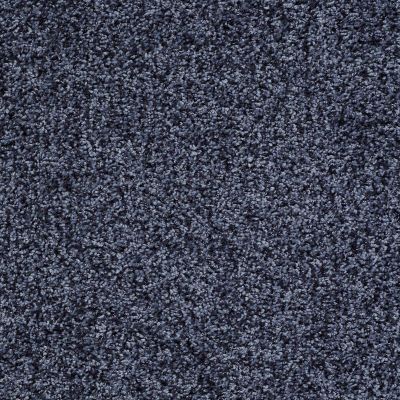 Shaw Floors Roll Special Xv994 Ink Jet 00401_XV994