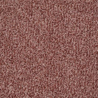 Shaw Floors Roll Special Xv994 Summer Coral 00600_XV994