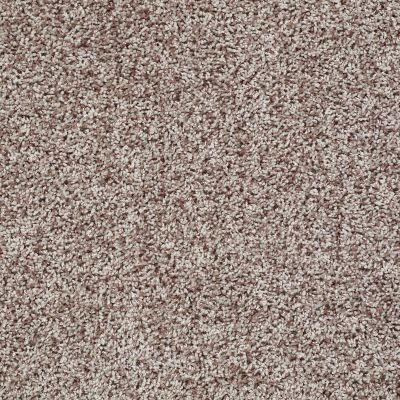 Shaw Floors Roll Special Xv994 Toast 00702_XV994