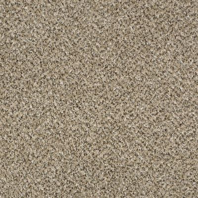Shaw Floors Value Collections Xy145 12′ Net Sea Shell 00100_XY145