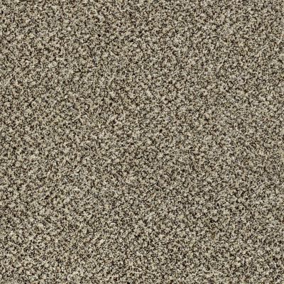 Shaw Floors Value Collections Xy145 12′ Net Cape Town 00102_XY145