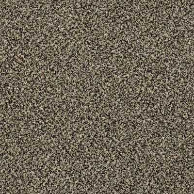 Shaw Floors Value Collections Xy145 12′ Net Muffin Top 00200_XY145