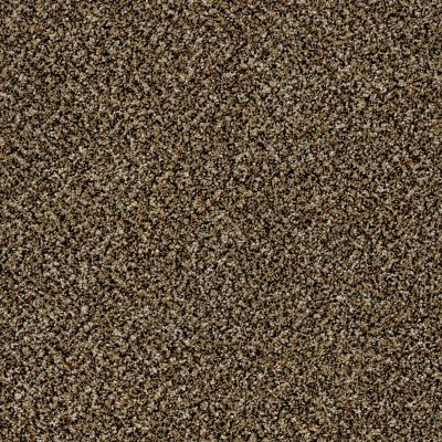 Shaw Floors Value Collections Xy145 12′ Net Sandpiper 00201_XY145
