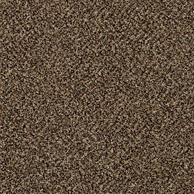 Shaw Floors Value Collections Xy145 12′ Net Raw Sienna 00202_XY145