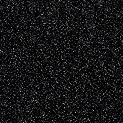 Shaw Floors Value Collections Xy145 12′ Net Under Water 00400_XY145